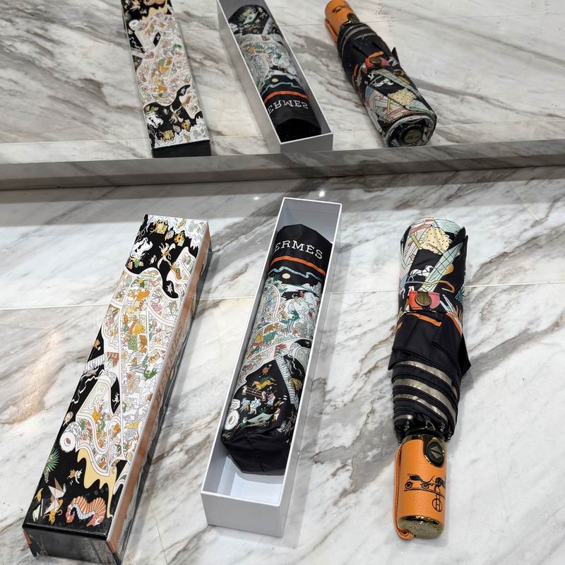 Hermes Umbrella (11)