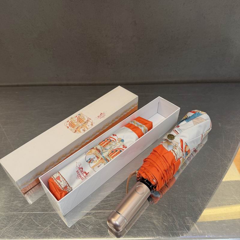 Hermes Umbrella (127)