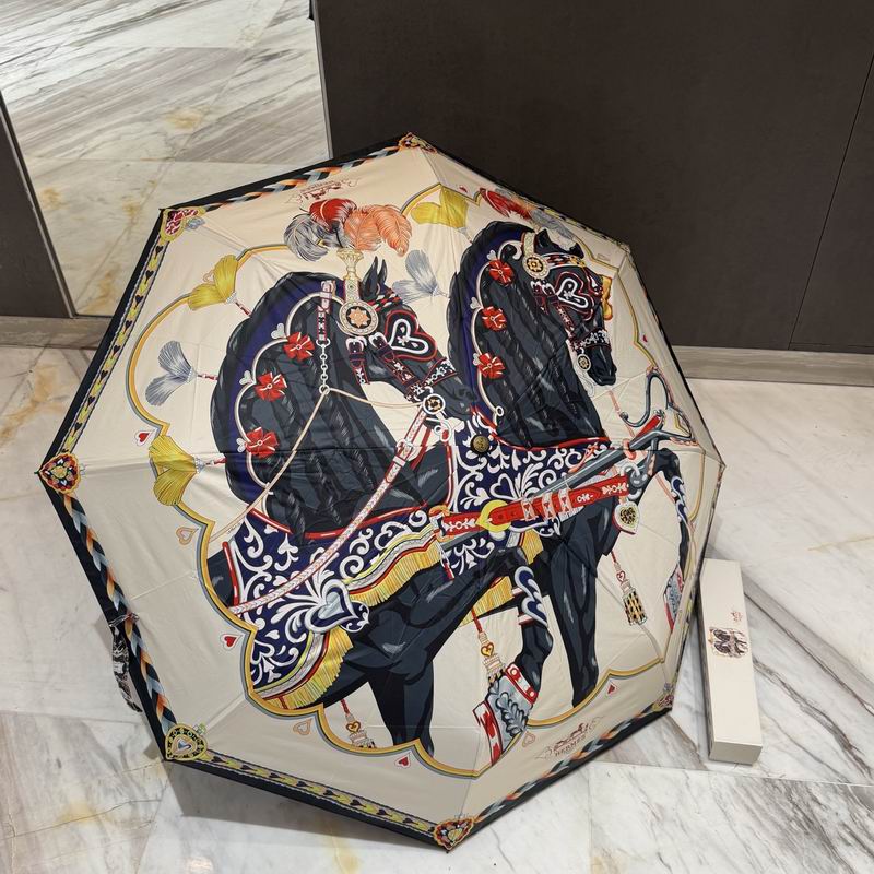 Hermes Umbrella (156)