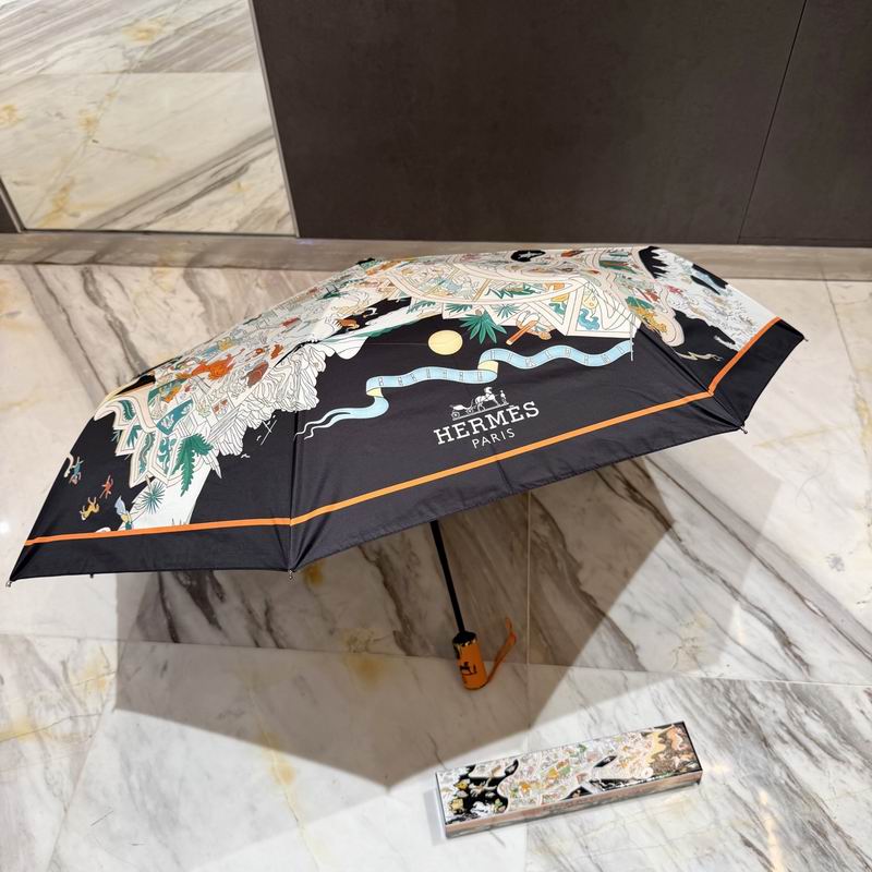 Hermes Umbrella (16)
