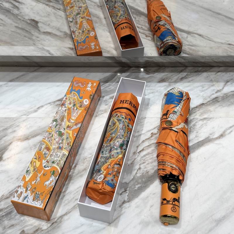 Hermes Umbrella (21)