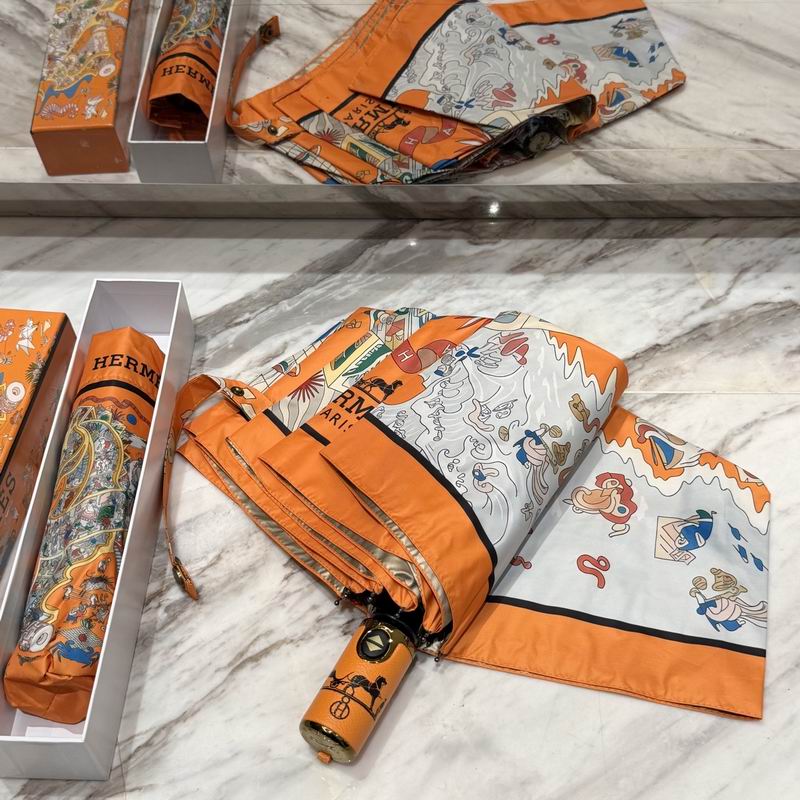Hermes Umbrella (23)