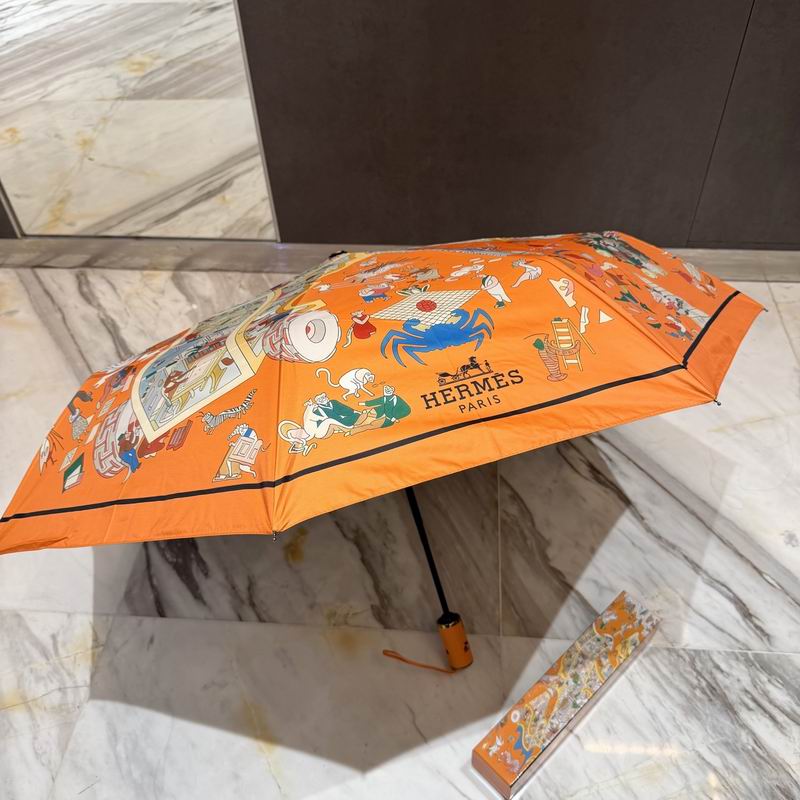 Hermes Umbrella (25)