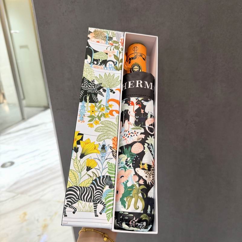 Hermes Umbrella (28)