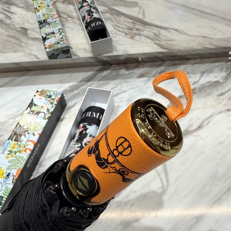 Hermes Umbrella (29)
