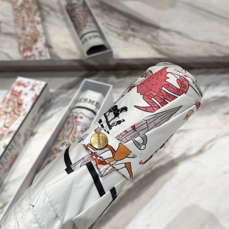 Hermes Umbrella (3)