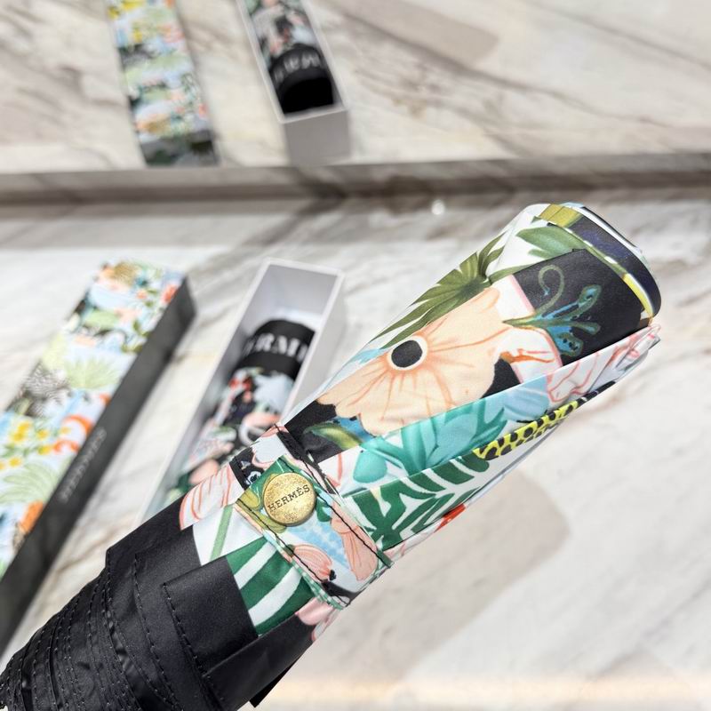Hermes Umbrella (30)