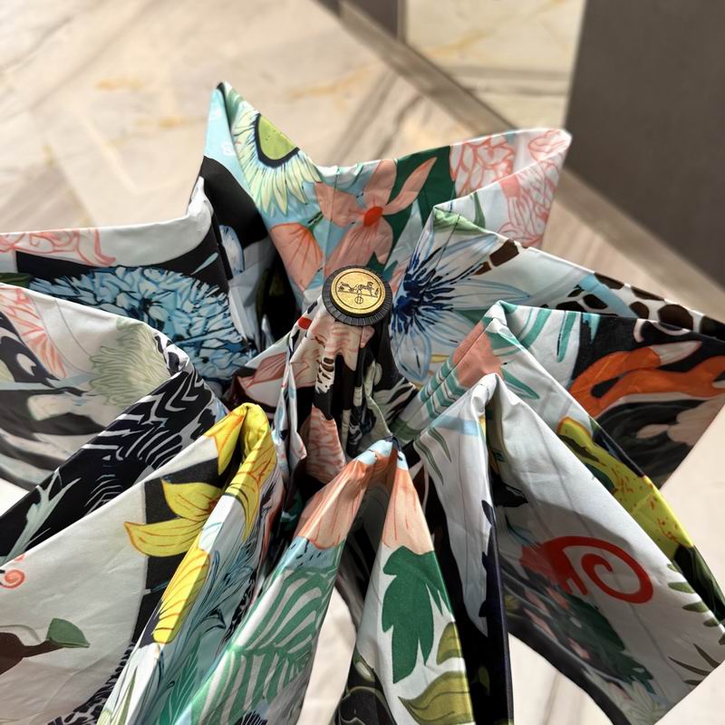 Hermes Umbrella (31)