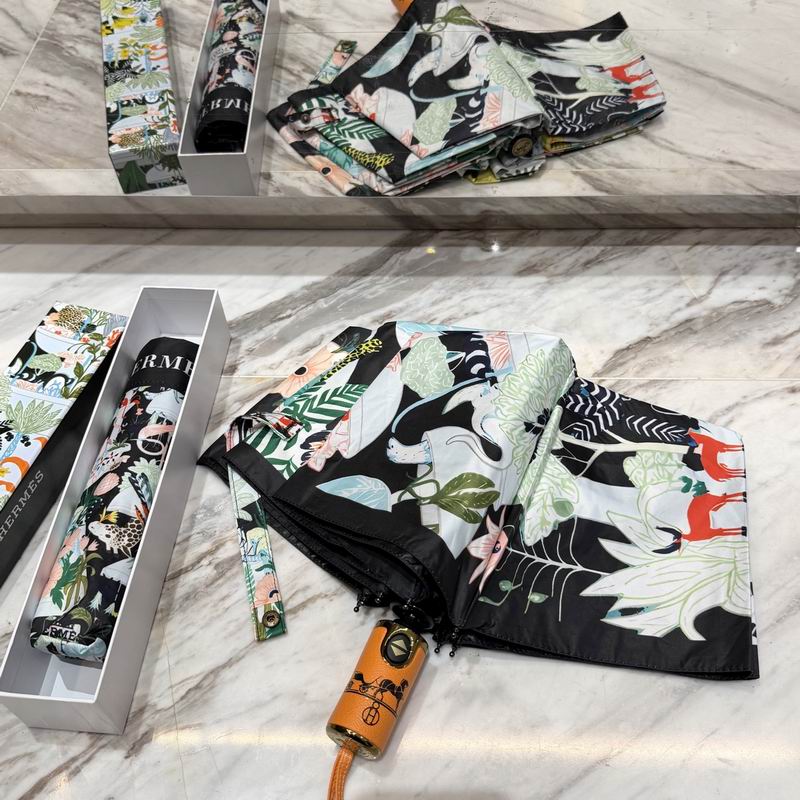 Hermes Umbrella (32)