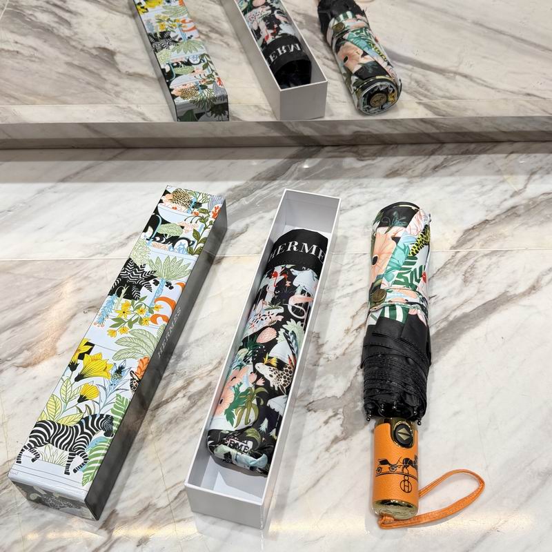 Hermes Umbrella (33)