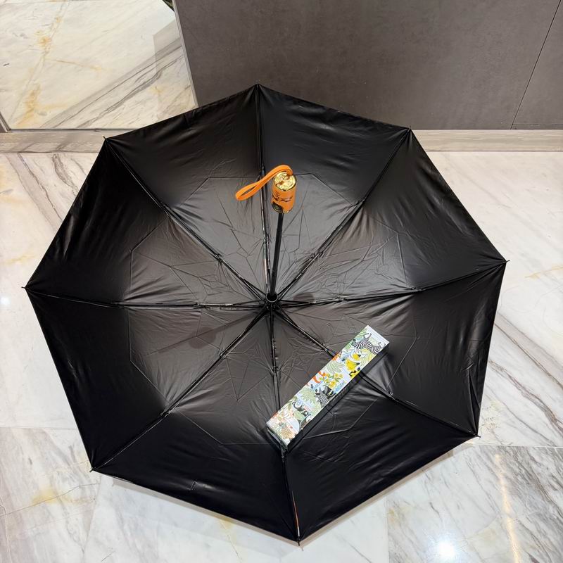 Hermes Umbrella (34)