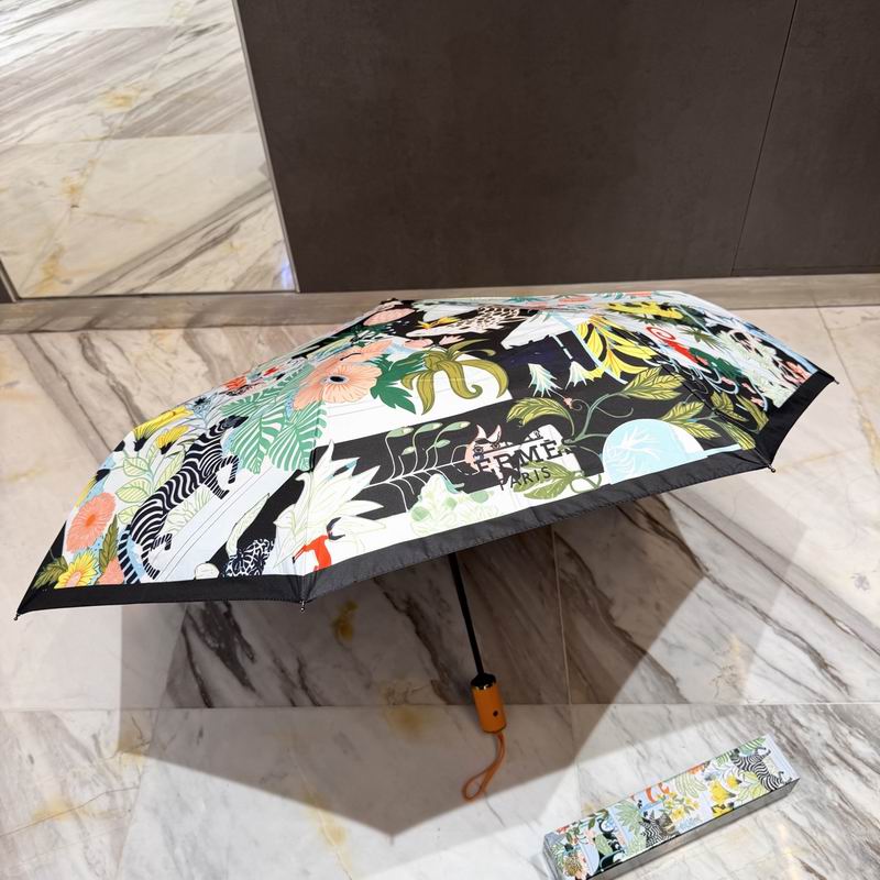 Hermes Umbrella (35)