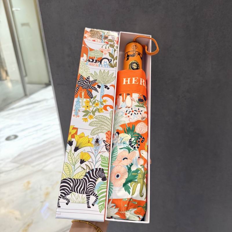 Hermes Umbrella (37)