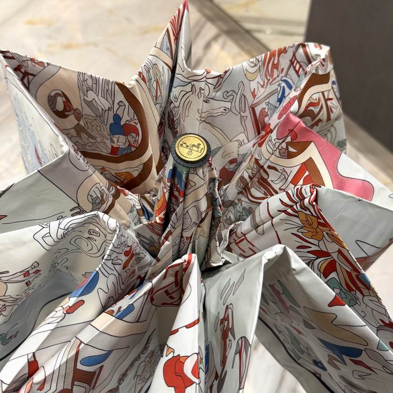 Hermes Umbrella (4)