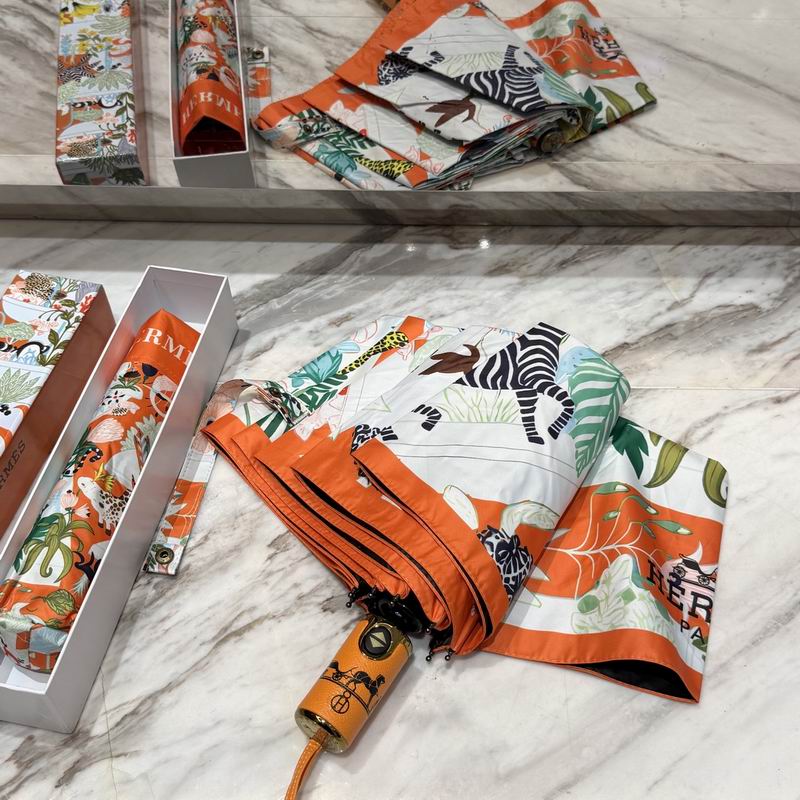 Hermes Umbrella (41)