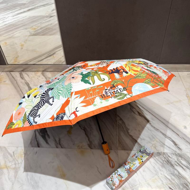 Hermes Umbrella (43)
