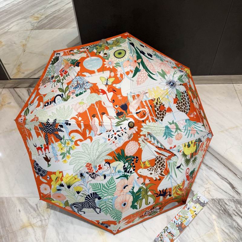 Hermes Umbrella (44)