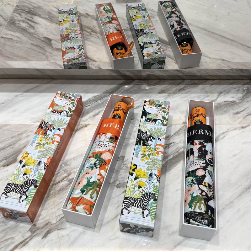 Hermes Umbrella (45)