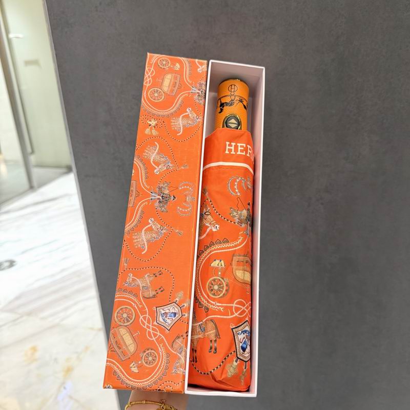 Hermes Umbrella (46)