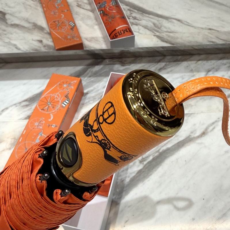 Hermes Umbrella (46)