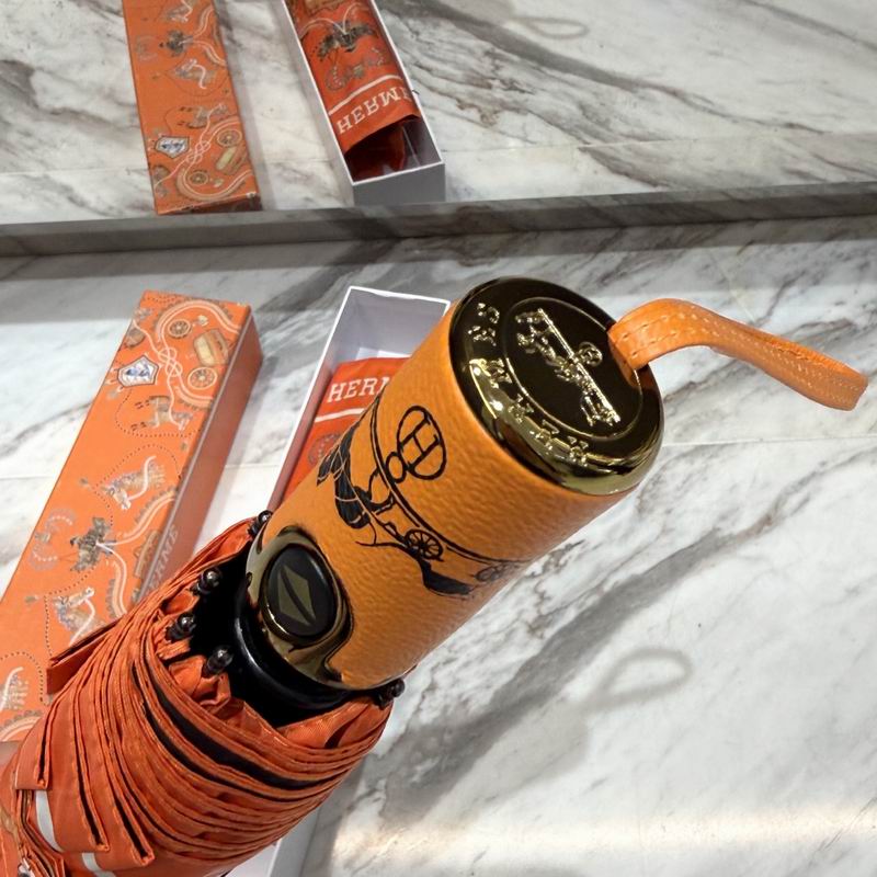 Hermes Umbrella (47)