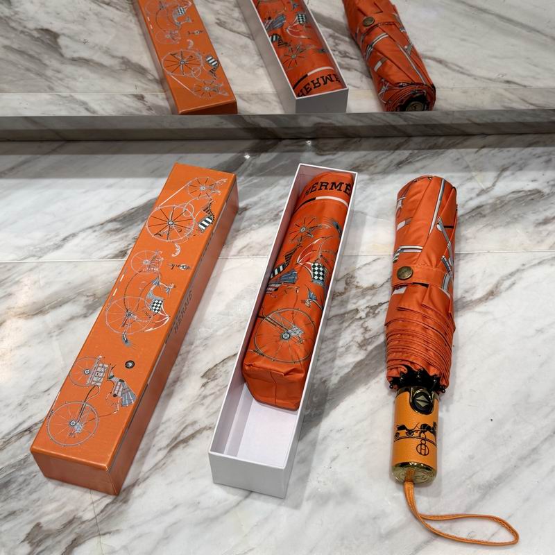 Hermes Umbrella (47)
