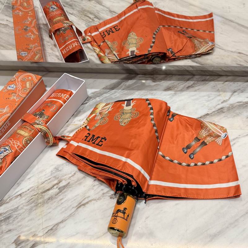 Hermes Umbrella (48)
