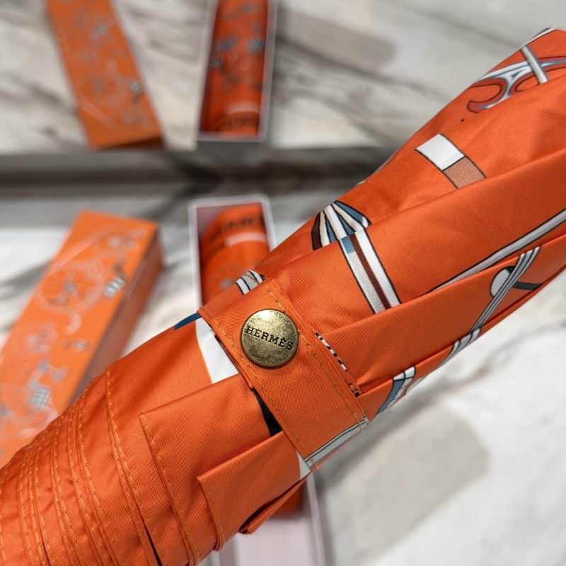 Hermes Umbrella (48)