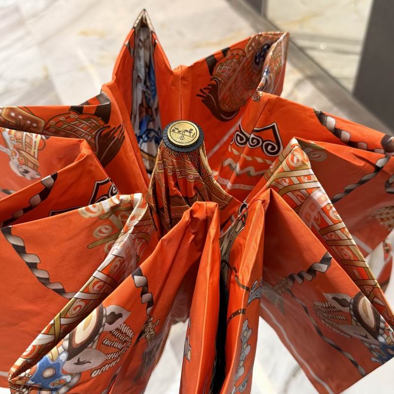 Hermes Umbrella (49)