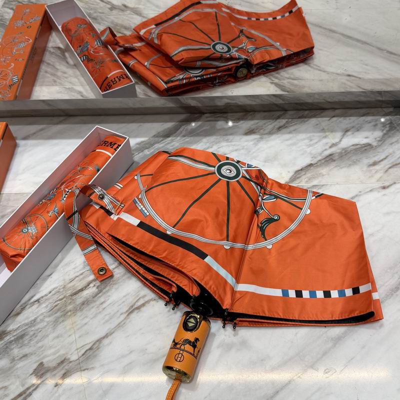 Hermes Umbrella (49)