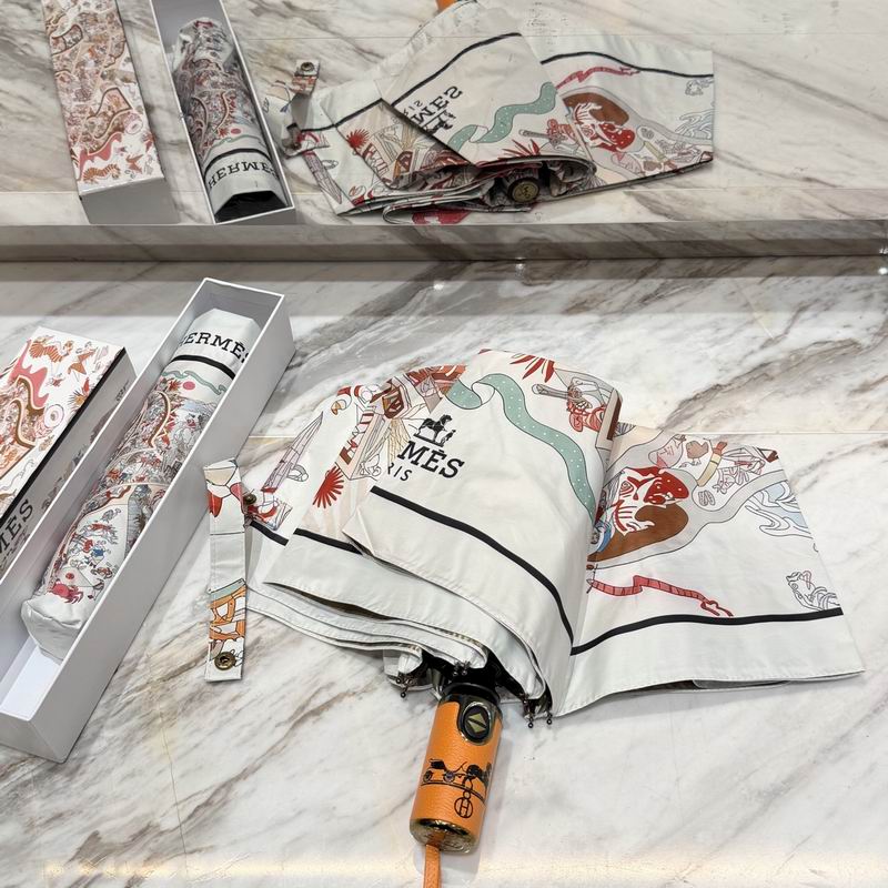Hermes Umbrella (5)