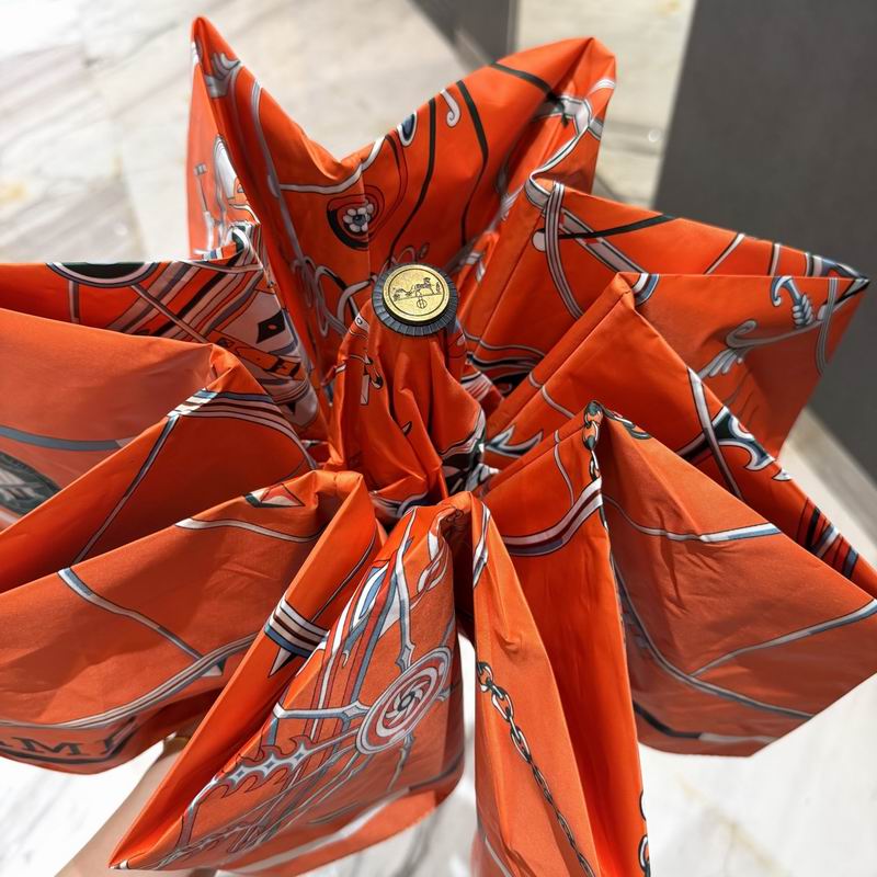 Hermes Umbrella (50)