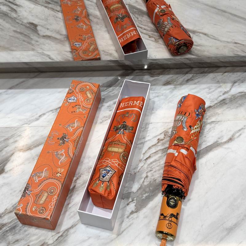 Hermes Umbrella (51)
