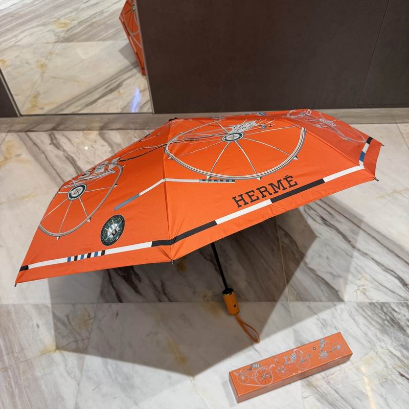 Hermes Umbrella (51)