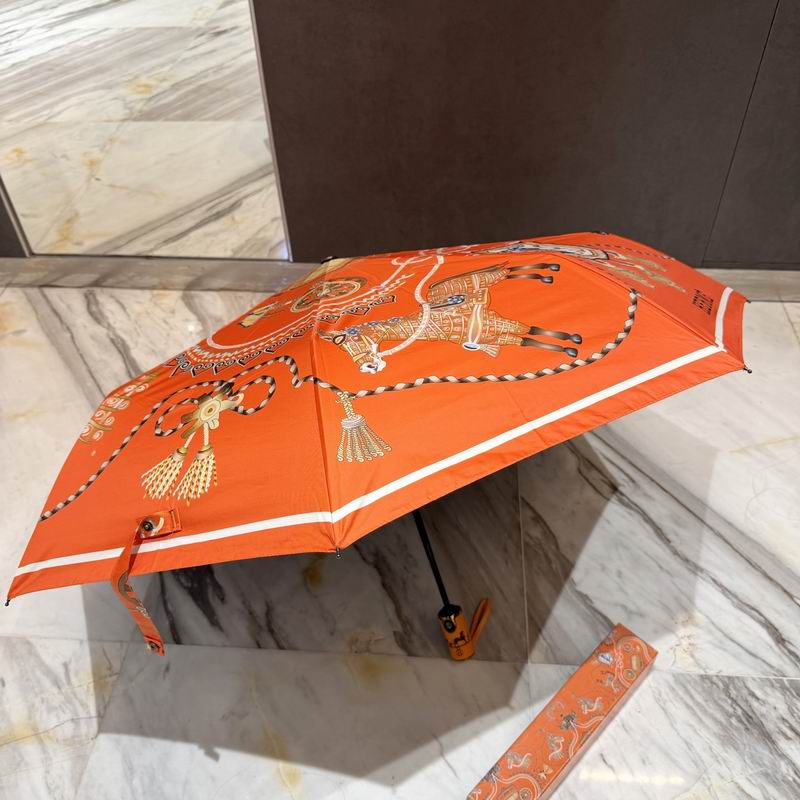 Hermes Umbrella (52)