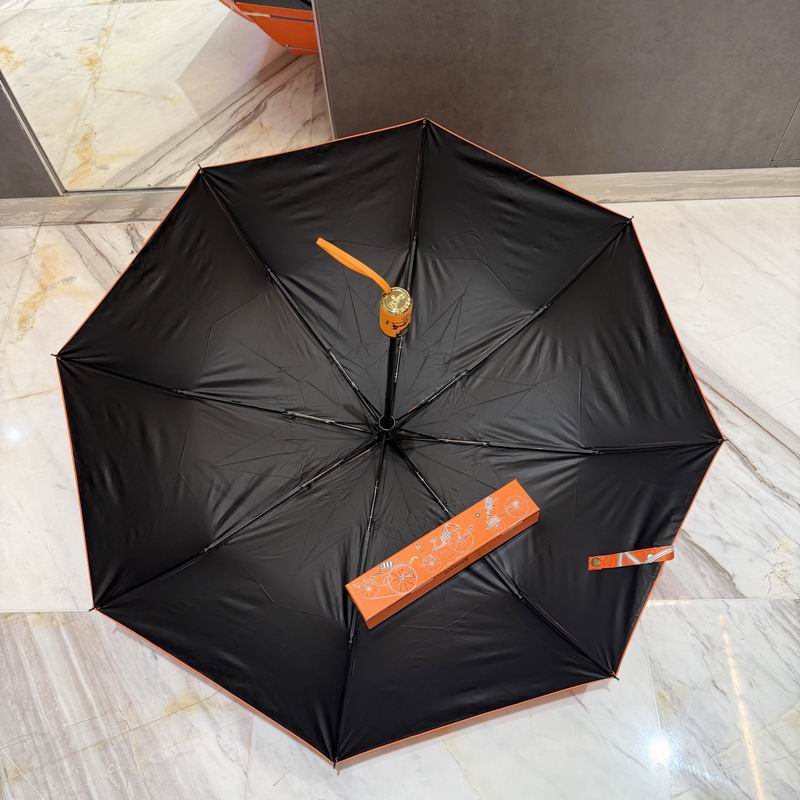 Hermes Umbrella (52)