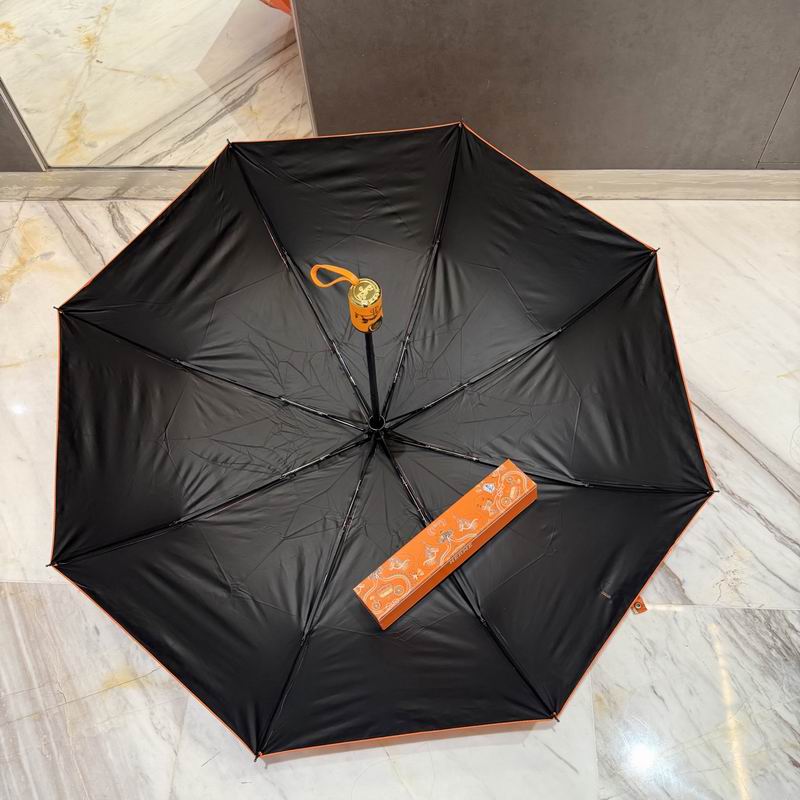 Hermes Umbrella (53)