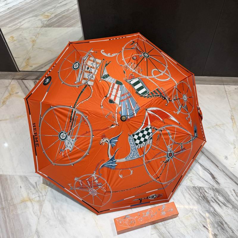 Hermes Umbrella (53)