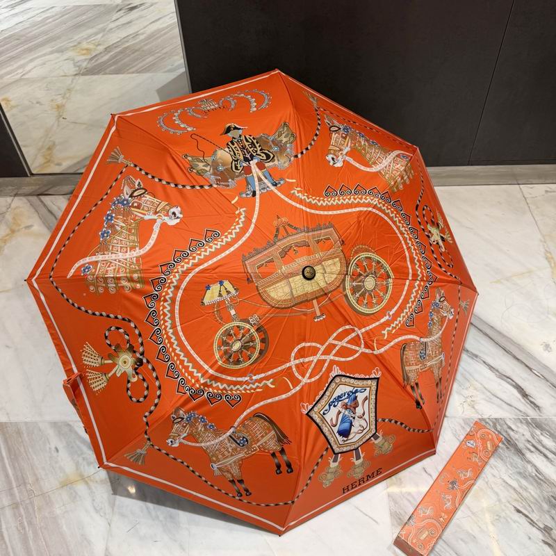 Hermes Umbrella (54)