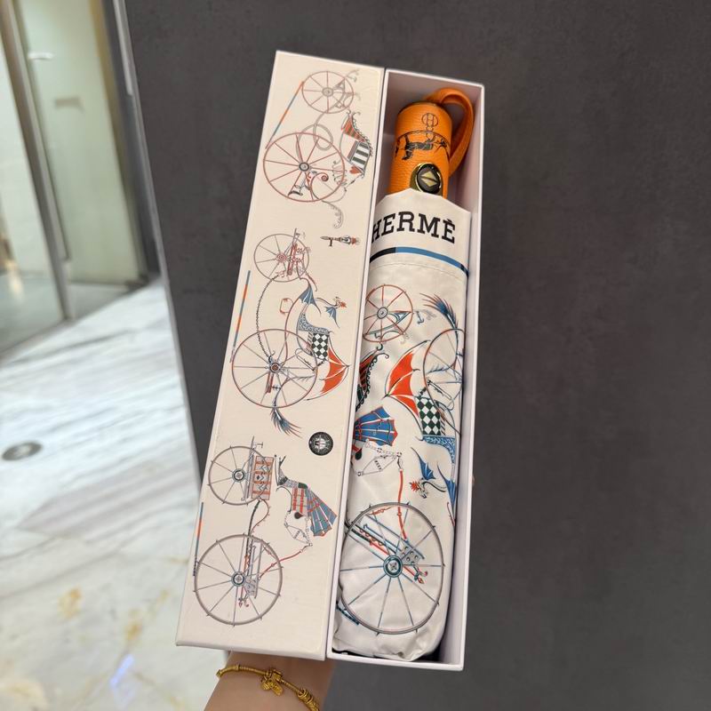 Hermes Umbrella (54)