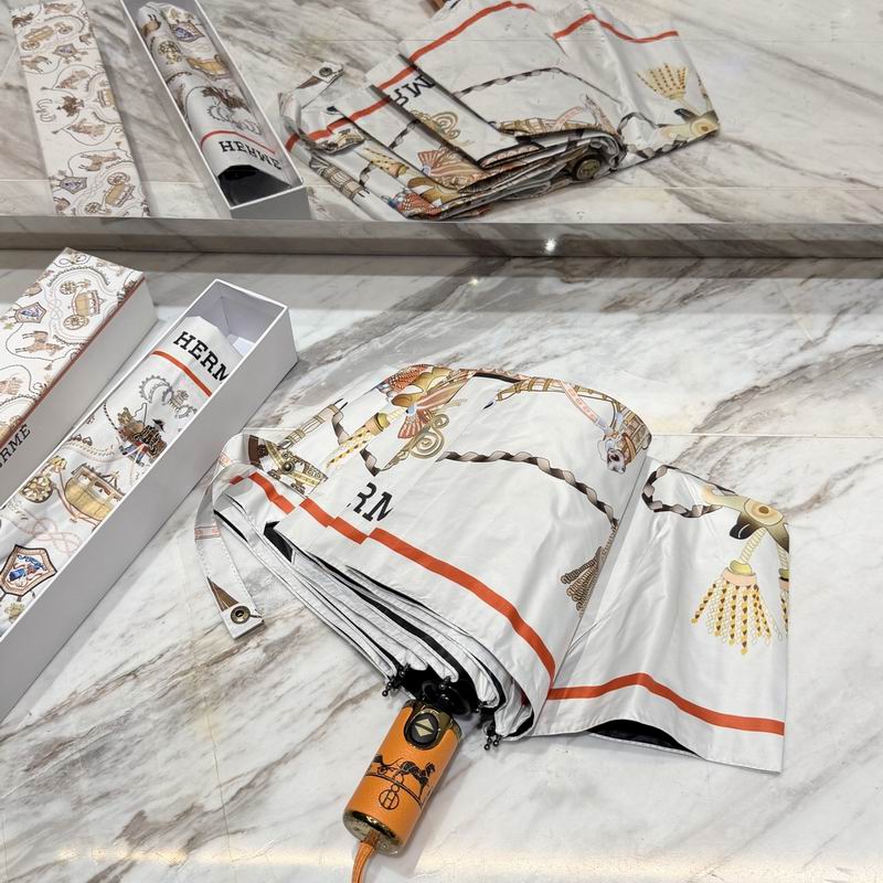 Hermes Umbrella (57)