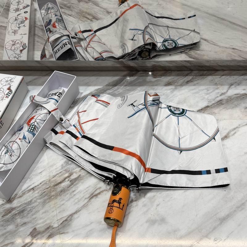 Hermes Umbrella (58)