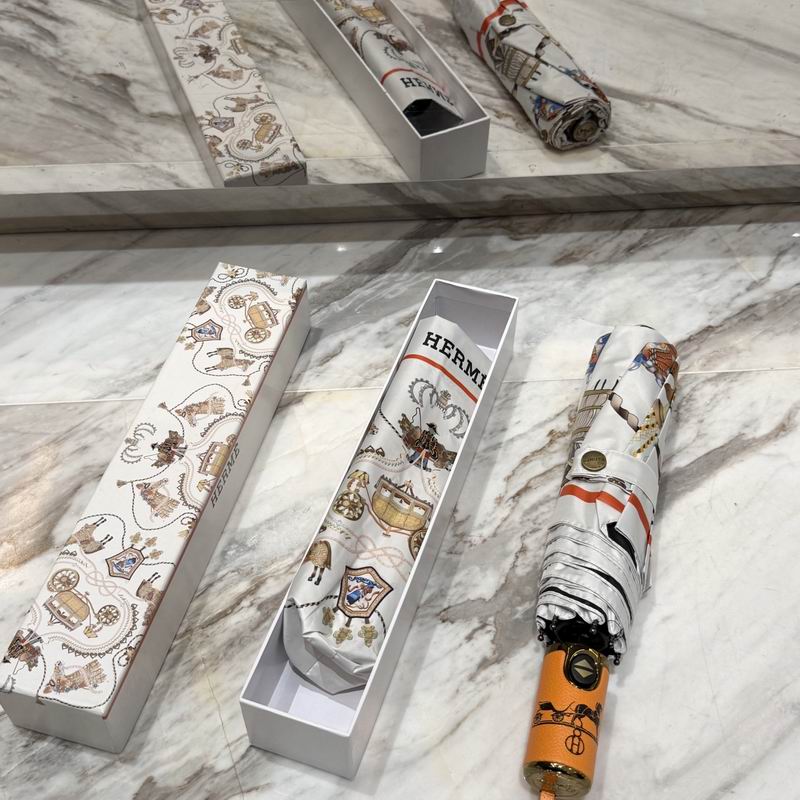 Hermes Umbrella (59)