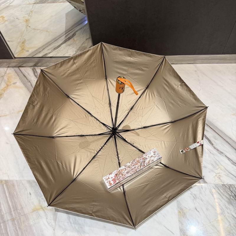 Hermes Umbrella (6)