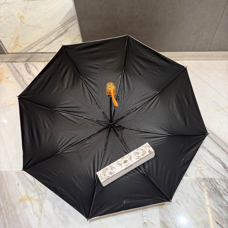 Hermes Umbrella (60)