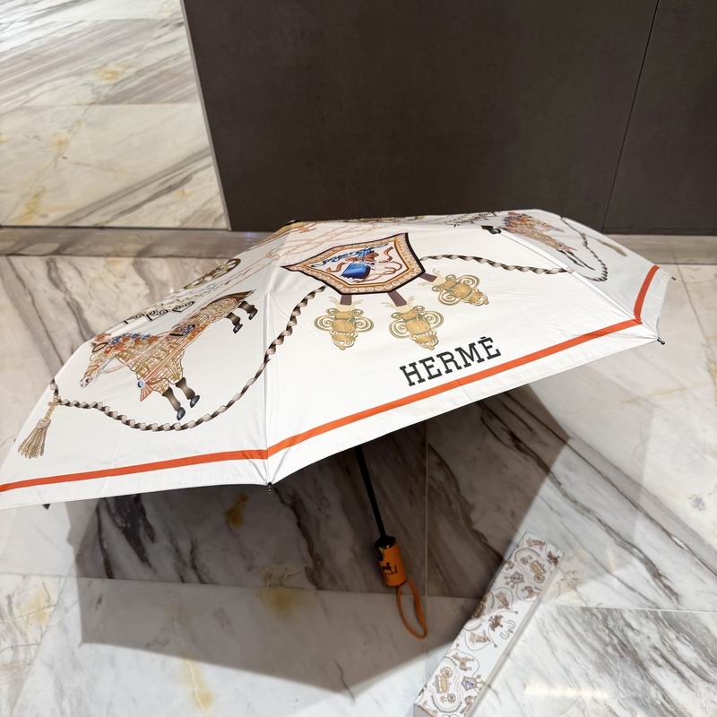 Hermes Umbrella (61)