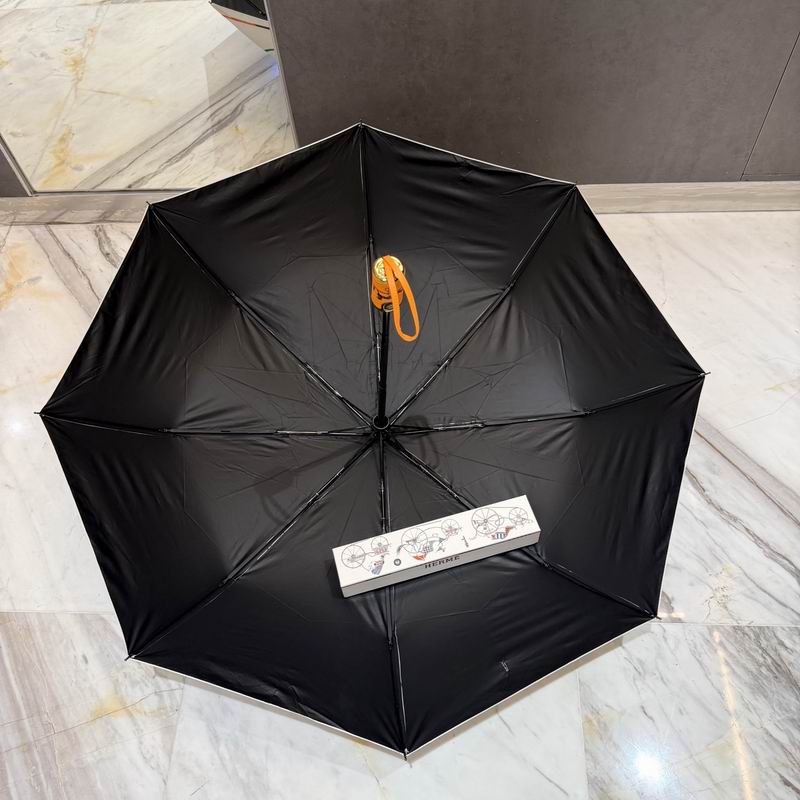 Hermes Umbrella (61)