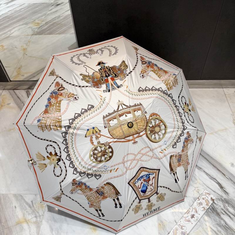 Hermes Umbrella (62)