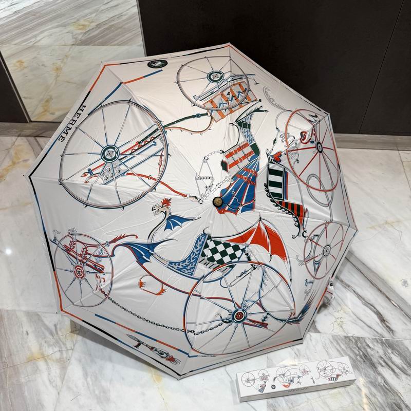 Hermes Umbrella (62)