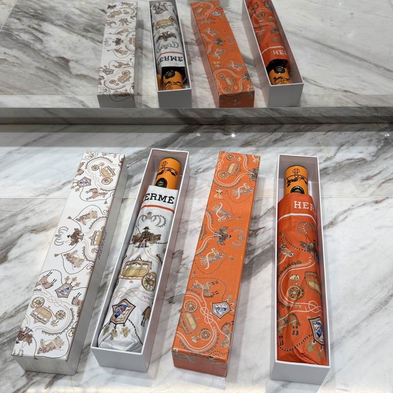 Hermes Umbrella (63)